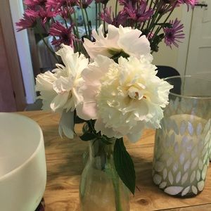 Meet your Posher, Alisa